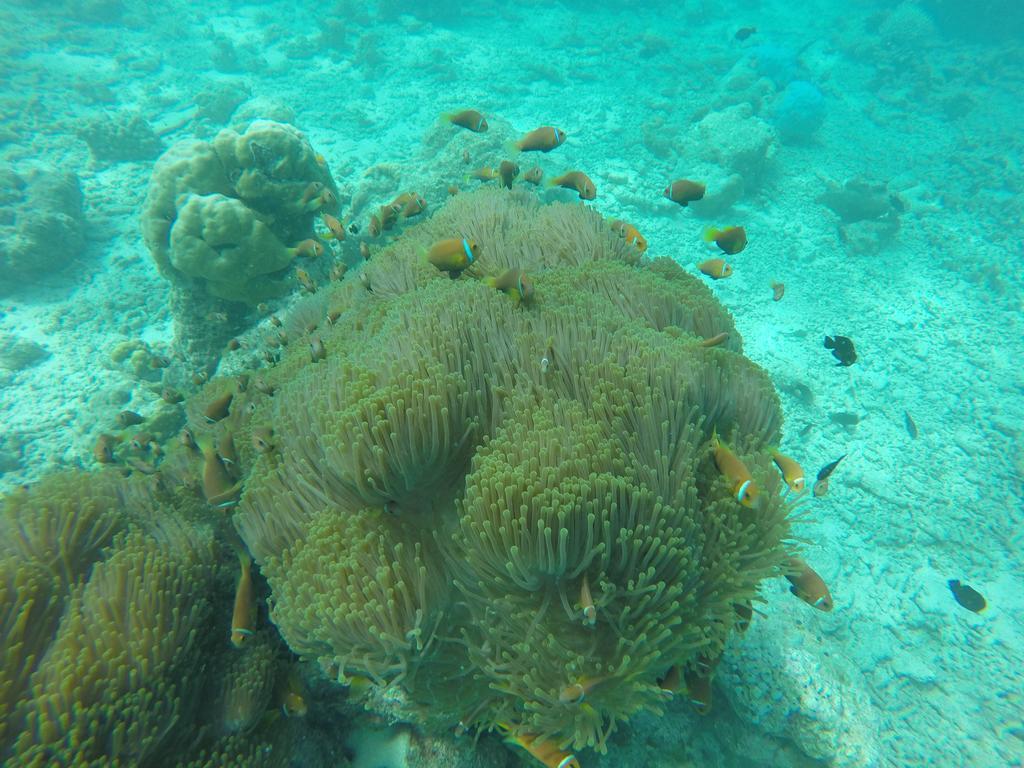 Rasdhoo Relax Inn Buitenkant foto